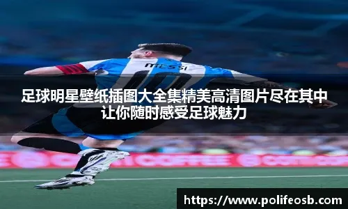 低位单打球星，篮板保障，更衣室核心。