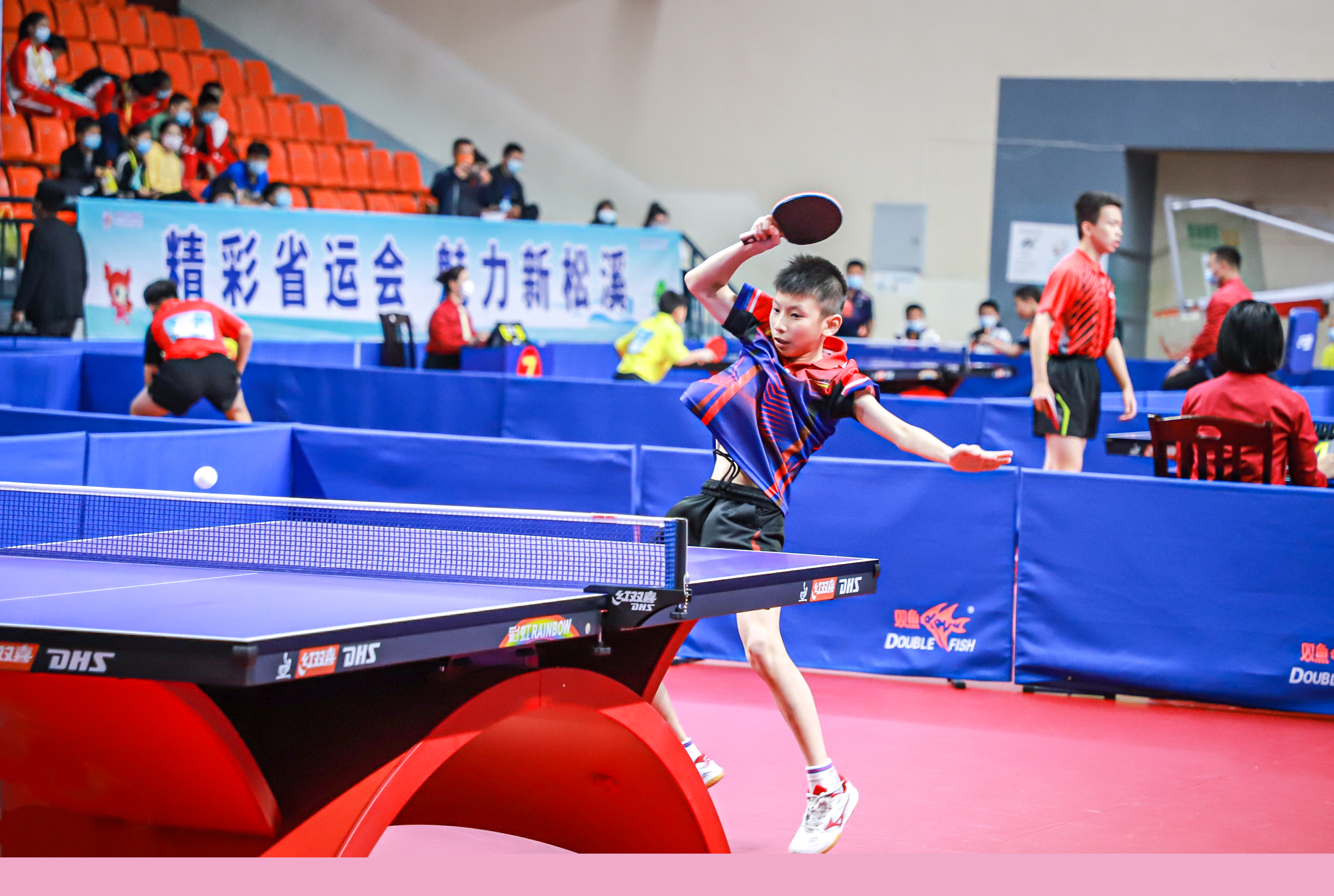 奥委会任职 奥委会任职